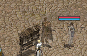 推廣首次兌換員.gif